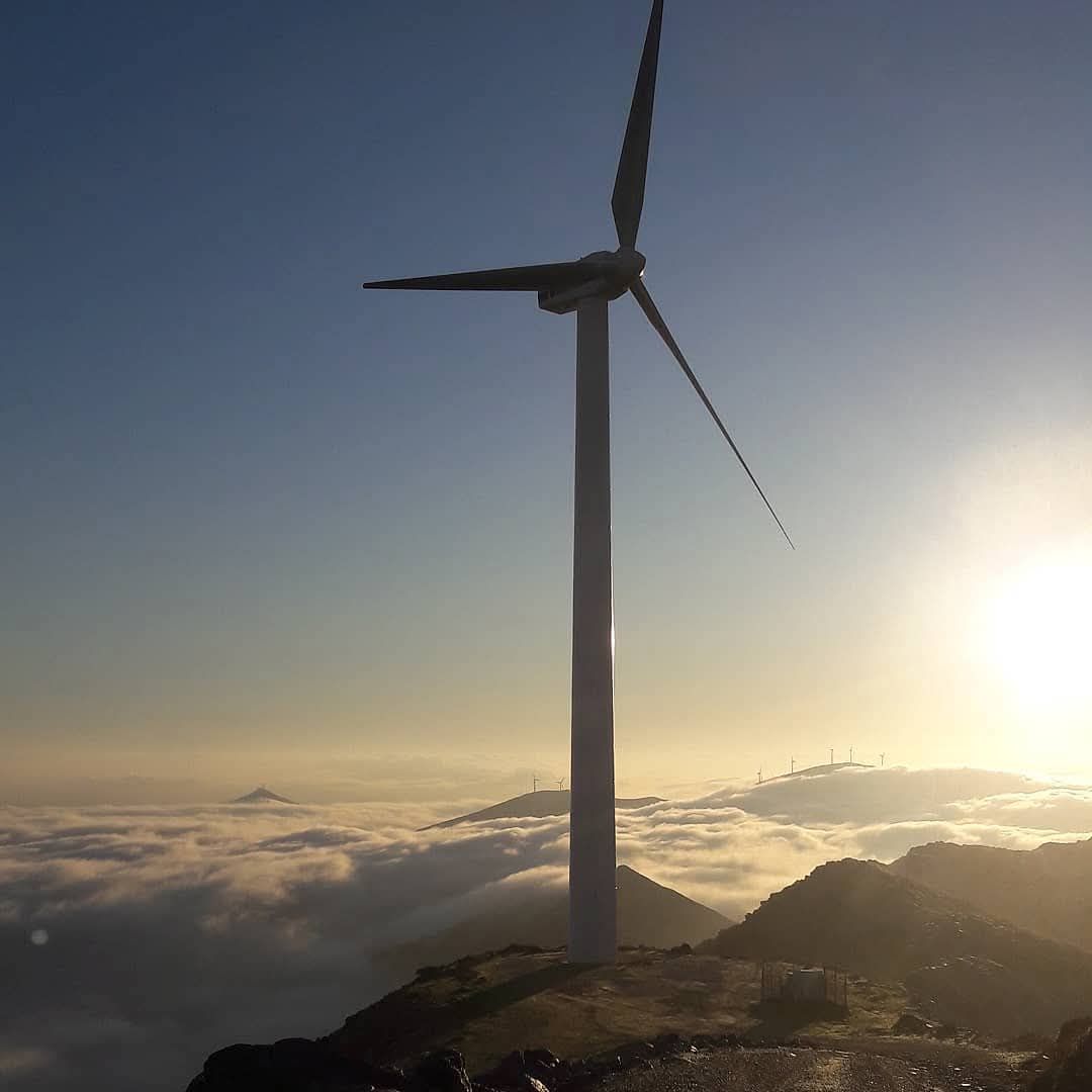 2025年風(fēng)電行業(yè)新動態(tài)：中國風(fēng)電穩(wěn)步增長，海上風(fēng)電加速發(fā)展
